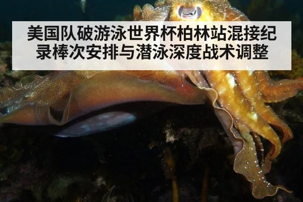 美国队破游泳世界杯柏林站混接纪录棒次安排与潜泳深度战术调整